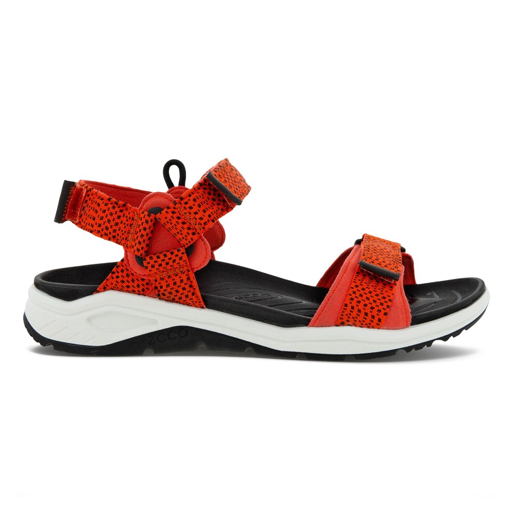 Sandalias Hombre - ECCO X-Trinsic 3S Water - Rojos - YCK873029